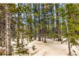 343 Sunshine Dr - Photo 29