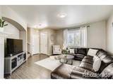 5154 Chicory Cir - Photo 6
