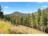 83 Conifer Dr - Photo 12