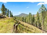 83 Conifer Dr - Photo 13