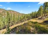83 Conifer Dr - Photo 15