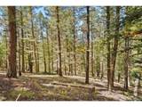 83 Conifer Dr - Photo 16