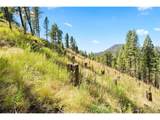 83 Conifer Dr - Photo 17