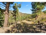 83 Conifer Dr - Photo 21