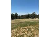 24074 Emerald Trl - Photo 19