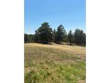 24074 Emerald Trl - Photo 21