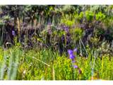 755 Gcr 22317 - Photo 14