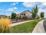 23125 Piccolo Dr - Photo 47