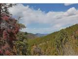13499 Firedog Way - Photo 1