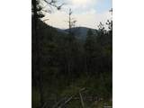 13499 Firedog Way - Photo 4
