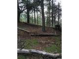13499 Firedog Way - Photo 8
