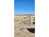 291 Black Hills - Photo 23