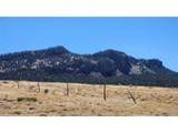 291 Black Hills - Photo 11