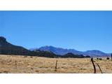 291 Black Hills - Photo 14