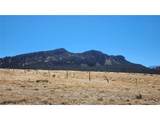 291 Black Hills - Photo 15