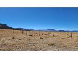 291 Black Hills - Photo 18