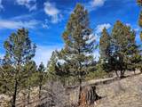  Bonell Dr - Photo 11