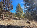  Bonell Dr - Photo 12