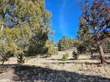  Bonell Dr - Photo 13