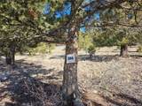  Bonell Dr - Photo 15