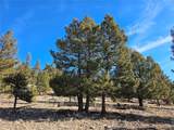  Bonell Dr - Photo 16
