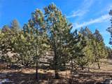  Bonell Dr - Photo 18