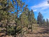  Bonell Dr - Photo 19