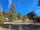  Bonell Dr - Photo 21