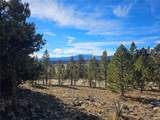  Bonell Dr - Photo 23