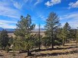  Bonell Dr - Photo 28