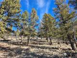  Bonell Dr - Photo 29