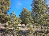  Bonell Dr - Photo 3