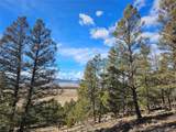  Bonell Dr - Photo 37