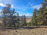  Bonell Dr - Photo 39