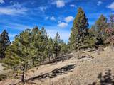  Bonell Dr - Photo 40