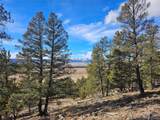  Bonell Dr - Photo 41