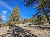  Bonell Dr - Photo 6