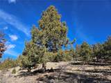  Bonell Dr - Photo 7