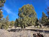  Bonell Dr - Photo 9