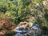 10562 Montecito Dr - Photo 47