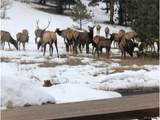 22284 Turkey Creek Rd - Photo 49