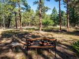 22284 Turkey Creek Rd - Photo 5