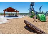 16923 Red Dawn Pl - Photo 46