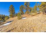 772 Bison Creek Trl - Photo 2