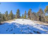 772 Bison Creek Trl - Photo 5