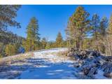 772 Bison Creek Trl - Photo 6