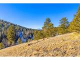 772 Bison Creek Trl - Photo 7