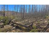 1470 Von Heyl Ln - Photo 6