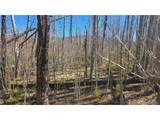 1470 Von Heyl Ln - Photo 8