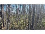1470 Von Heyl Ln - Photo 9
